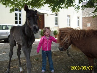 Unsere Tochter Charlotte mit ihrem Pony und einem Hengstfohlen v. Desperados Unsere Tochter Charlotte mit ihrem Pony und einem Hengstfohlen v. Desperados